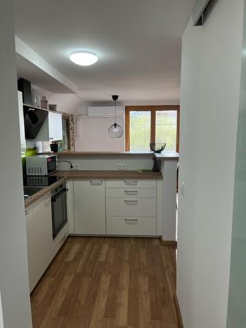 Apartma Ela Zgornje Gorje Luaran gambar
